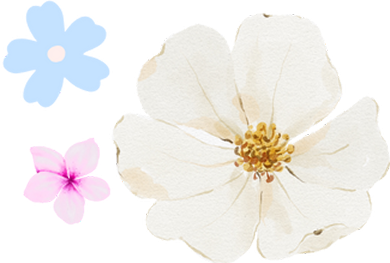 MARGARITAS flores icon